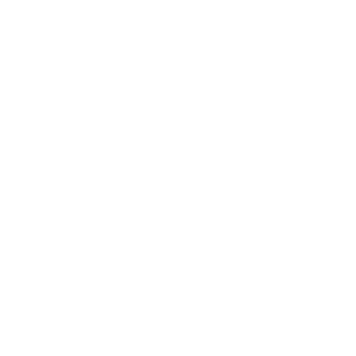 Our Little Steps