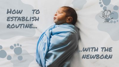 A peaceful newborn sleeping in a cozy crib as part of an established daily routine.