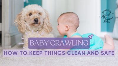 Keeping baby and pets safe while crawling: This article offers tips on maintaining a clean and safe environment for both.