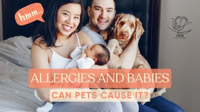 Can pets cause allergies in babies? This article explores the link between pets and infant allergies, offering tips for managing symptoms and creating a healthy home.